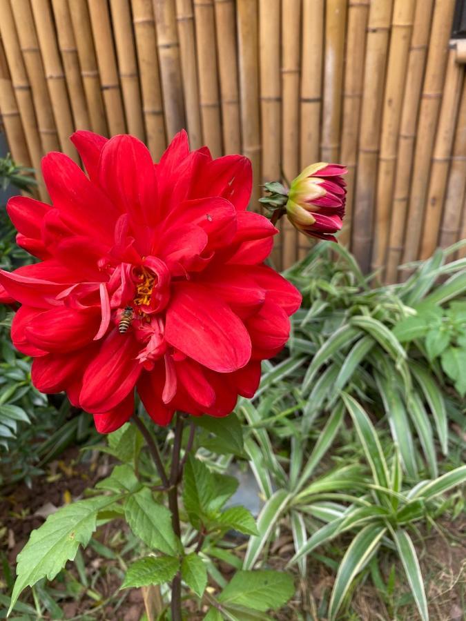 Trang An Moon Garden Homestay Νιν Μπιν Εξωτερικό φωτογραφία