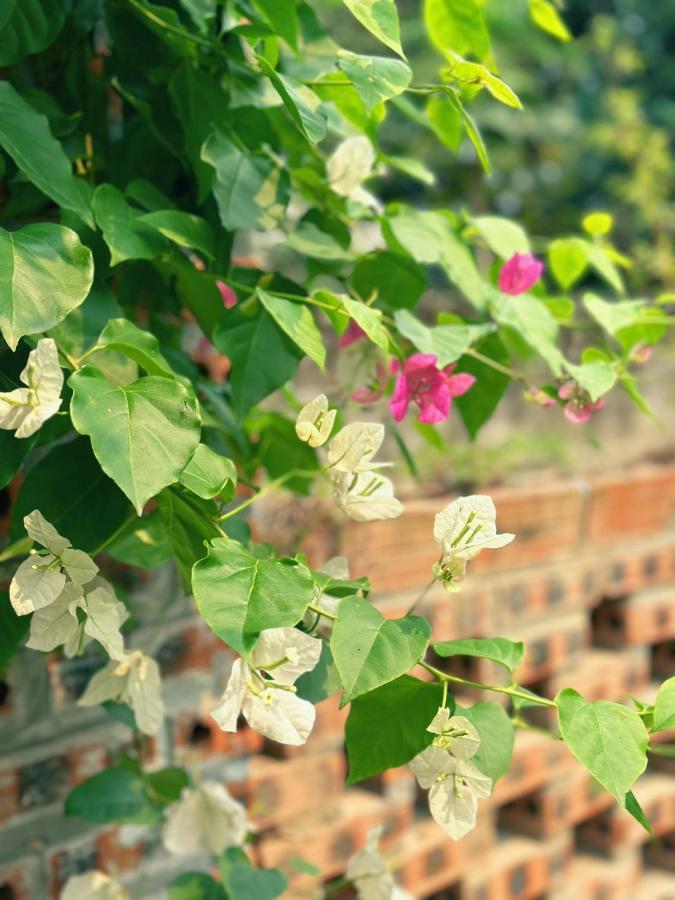 Trang An Moon Garden Homestay Νιν Μπιν Εξωτερικό φωτογραφία