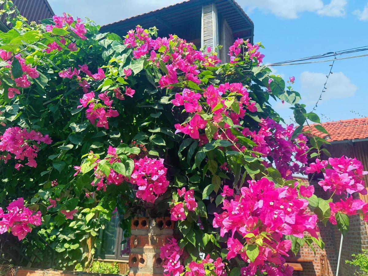 Trang An Moon Garden Homestay Νιν Μπιν Εξωτερικό φωτογραφία